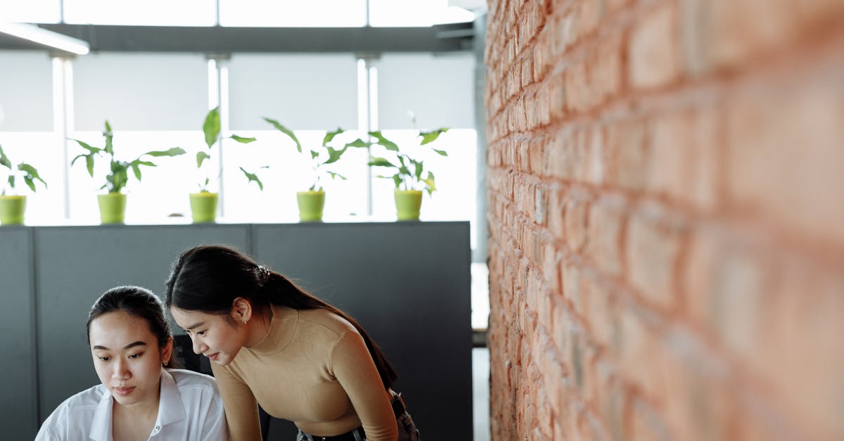 小小军团2：南瓜视频app破解版详情下载教程